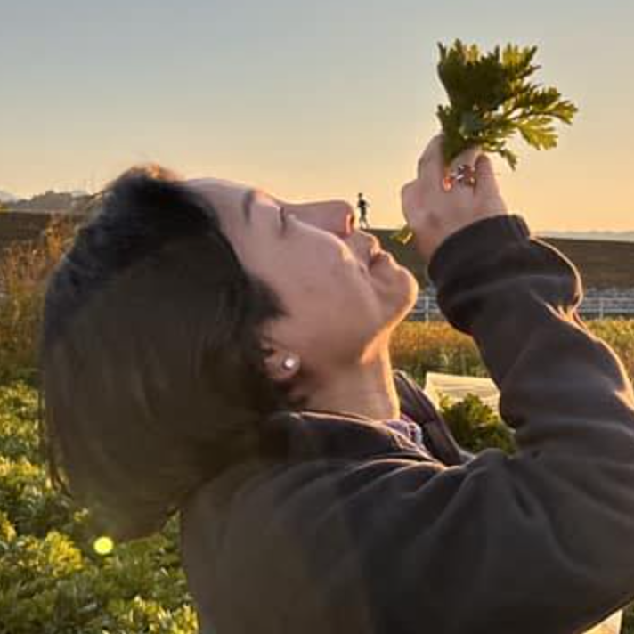 スクリーンショット 2022-12-11 16.27.50